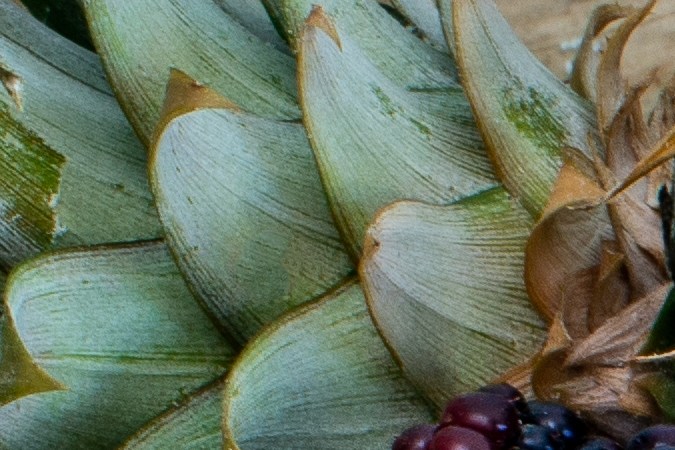 Frutas