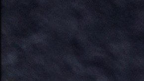 Limonada de Arándanos