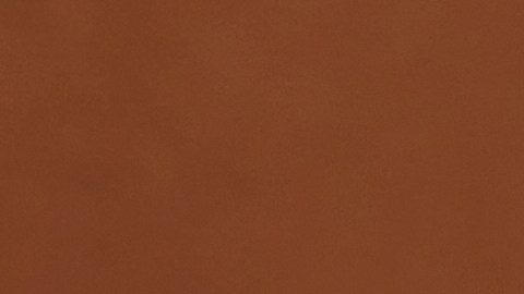 Canela