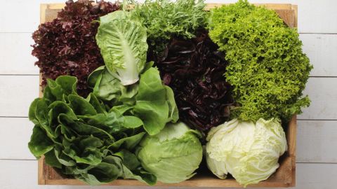 Lechuga