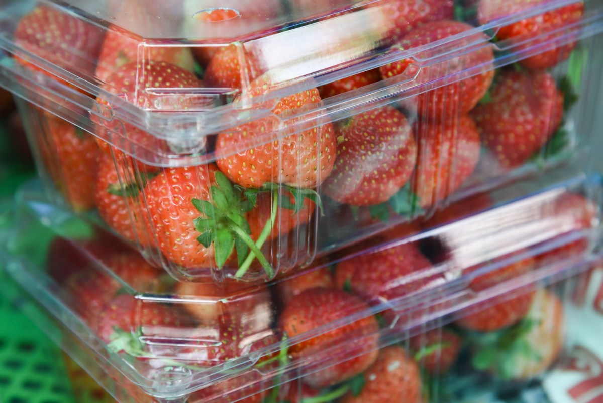 Señales que indican que debes descartar las fresas porque están en mal estado