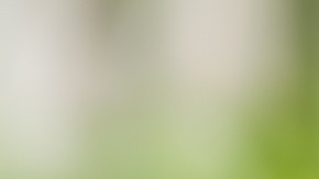 Young,And,Happy,Woman,Eating,Healthy,Salad,Sitting,On,The