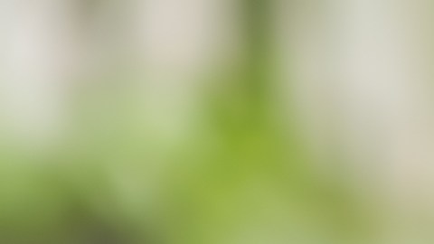 Young,And,Happy,Woman,Eating,Healthy,Salad,Sitting,On,The