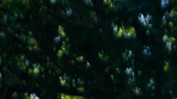 Protestas contra conflicto en Gaza se extendieron a 60 universidades de Estados Unidos; 500 detenidos