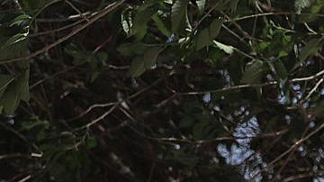 Migrantes permanecen entre la frontera con Estados Unidos, el 27 de abril de 2024, en Ciudad Juárez, estado de Chihuahua (México).