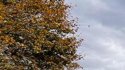 Fotografía de archivo fechada el 8 de octubre de 2022 donde aparecen unos manifestantes mientras participan en la Marcha de Mujeres que reclama protección al derecho al aborto en Washington.
