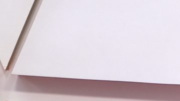 Renée Zellweger posando.