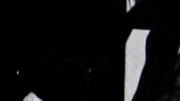 Vicente Fernández y Doña Cuquita estuvieron juntos desde los años 60.