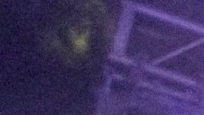 Los Tigres del Norte actuando en vivo.