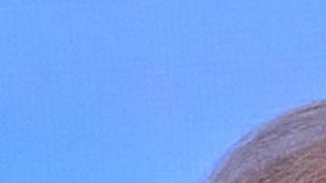 Lula condenó que "un empresario que nunca produjo nada", en alusión a Musk, critique los fallos de la Justicia y hasta se diga dispuesto a incumplirlas.