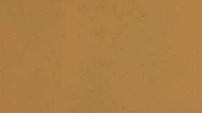 Operativos migratorios en México se han vuelto "más violentos", en medio de la presión de EE.UU.