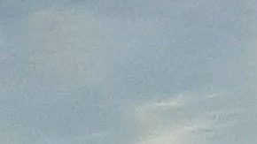 Bus MTA en Nueva York.