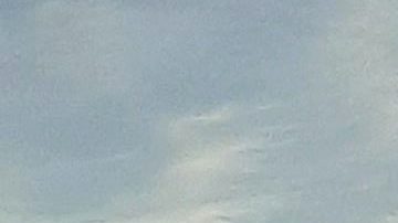 Bus MTA en Nueva York.