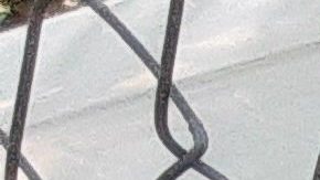 Patrulla escolar de NYPD.