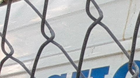Patrulla escolar de NYPD.