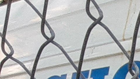 Patrulla escolar de NYPD.