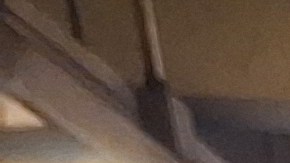 Desde esta semana se expandirán mensajes sobre las opciones que tienen las familias para evitar que menores estén expuestos al trabajo callejero.