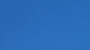 Los trabajadores miembros de NICE celebraron y recordaron a los trabajadores por todo lo alto en el parque de Flushing.