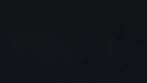 José Ron y Ariadne Díaz en el año 2012.