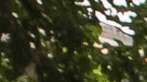 Documentan más de 1,600 casos de tortura en una década en Venezuela, y bajo el régimen de Maduro