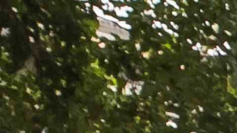 Documentan más de 1,600 casos de tortura en una década en Venezuela, y bajo el régimen de Maduro