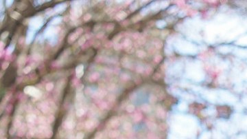 La concejal de Brooklyn Alexa Avilés asegura que el Proyecto 'Ciudad del Sí' debe ser más discutido.