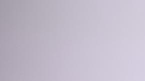 DW-Presidente de Polonia