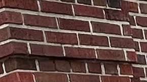 Tras el temblor de 4.8 grados en Nueva York, el sismo se volvió el tema de conversación del día, pero todo se mantuvo bajo normalidad