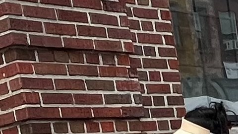 Tras el temblor de 4.8 grados en Nueva York, el sismo se volvió el tema de conversación del día, pero todo se mantuvo bajo normalidad