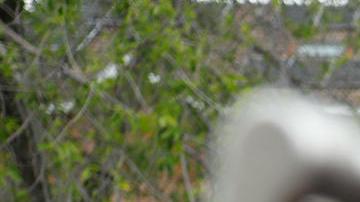 El expresidente de la Real Federación Española de Fútbol (RFEF) Luis Rubiales (c) a su salida del juzgado de Majadahonda, Madrid.