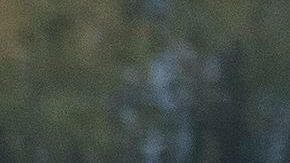 'Yellowstone' TV Show Season 1 - 2018