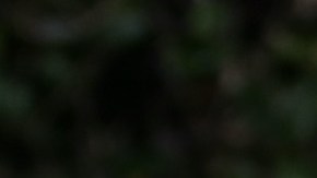 Eddie Murphy posando junto a su novia Paige Butcher