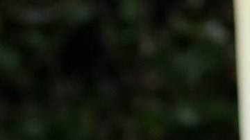 Eddie Murphy posando junto a su novia Paige Butcher