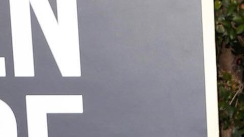 Anna Paquin posando.