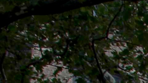 La Oficina del Médico Forense Jefe determinará la causa de la muerte del niño.