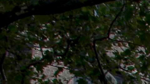 La Oficina del Médico Forense Jefe determinará la causa de la muerte del niño.