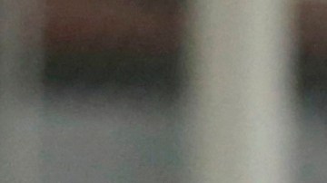 El perro ingresó a la cancha y terminó llevándose el balón del encuentro.