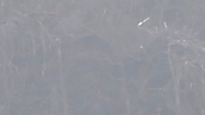 Huracán María en Puerto Rico