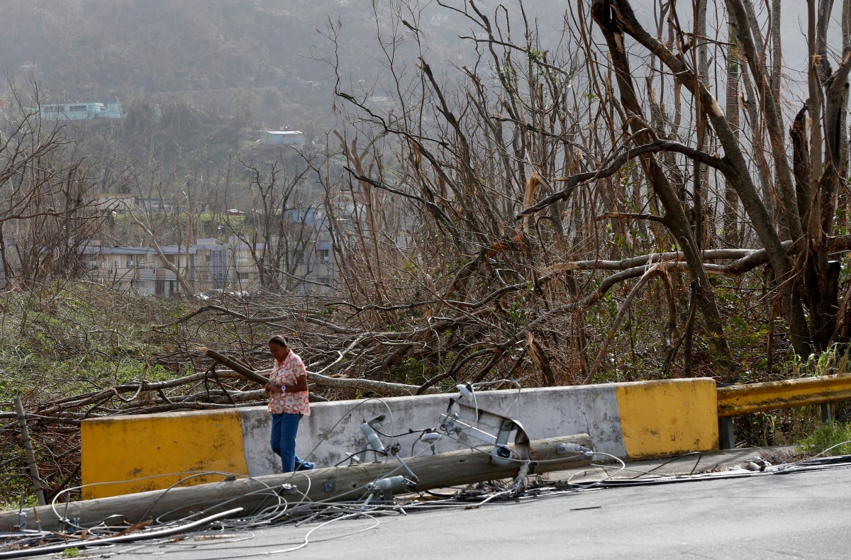 Fondos FEMA en Puerto Rico: piden ajustar costos por inflación para avanzar con grandes proyectos de reconstrucción
