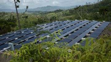 Paneles solares en Puerto Rico