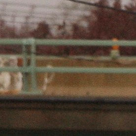 Patrulla de la Policía del condado Nassau, Long Island (NY)/Archivo.