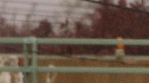 Patrulla de la Policía del condado Nassau, Long Island (NY)/Archivo.