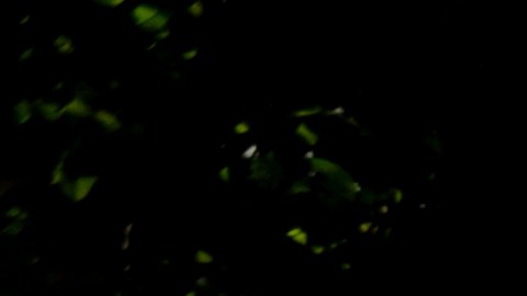 La entrada principal de la sede de la petrolera estatal Petróleos de Venezuela, PDVSA, en Caracas, Venezuela.