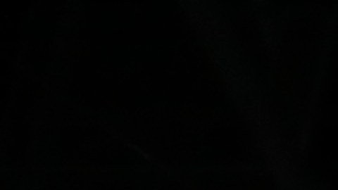 Hinchas de Rayados de Monterrey.