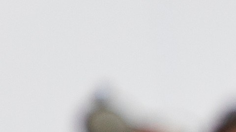 Brad Pitt ofrecerá a su hila su casa en Los Feliz, California.