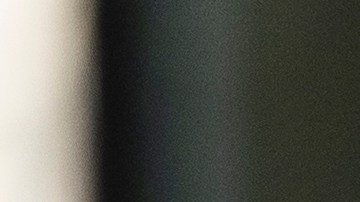 Jill Stein
