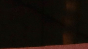 Pedro Pascal y Gina Carano