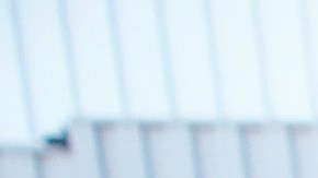 Los imitadores del legendario Elvis Presley abundan alrededor del mundo.