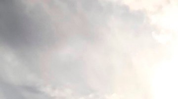 Gran parte de los analistas legales explicaron que es muy poco probable que el Supremo apoye la afirmación de Trump de "inmunidad absoluta".