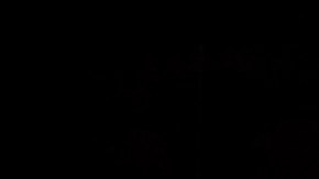 Óctagono de UFC. Imagen referencial.